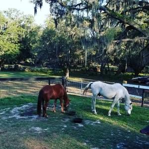 Meet your Posher, Tanya